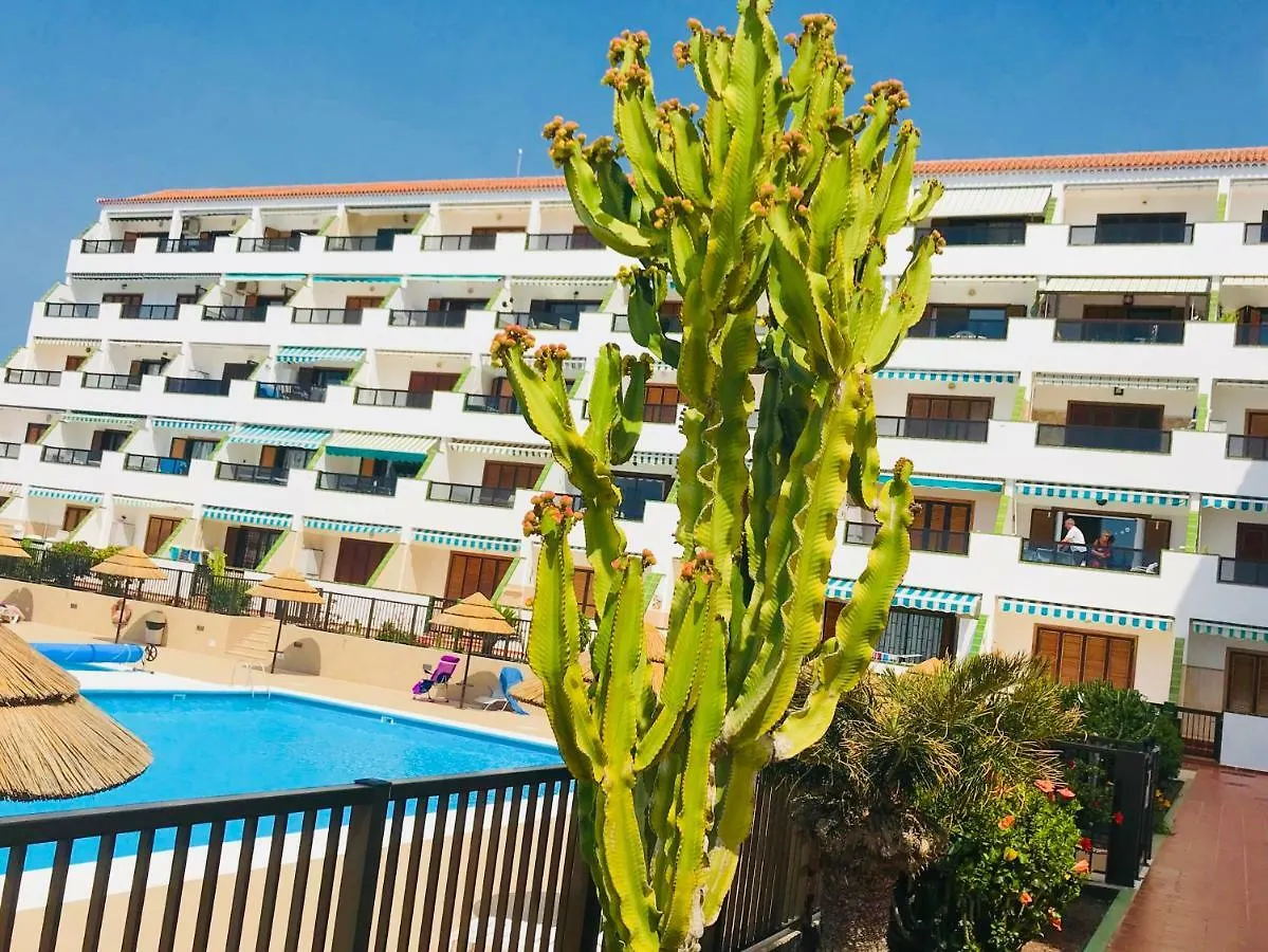 Atlantic View - Quiet, Peaceful And Windless Apt With Fantastic Ocean View コスタ・デル・シレンチオ スペイン